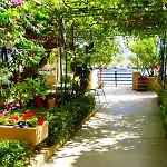 Appartement Duplex For 10 Persons, First Row By The Sea, House Ana *